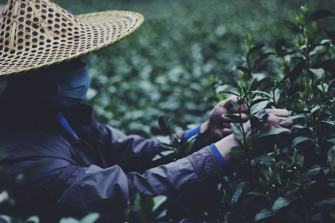重庆道之源教室照明灯具技术参数与性能对比分析